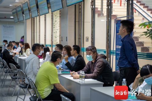 新春线下公益性招聘会海口举行 8