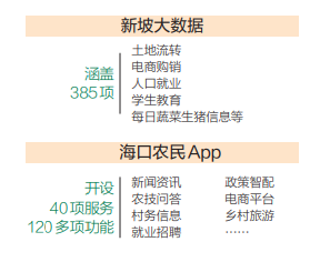 深读丨农村“新农具”--海南一个乡镇的信息化探索