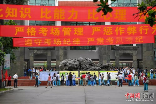 事业编 海口招聘249名教师 还有这些招聘别错过