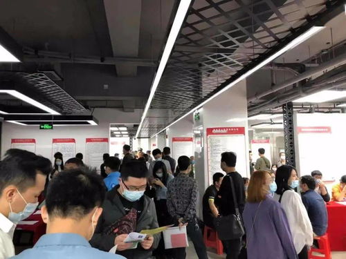 3月3日上午 海口人民公园湖心岛第二场招聘会来啦 多个岗位等你挑战