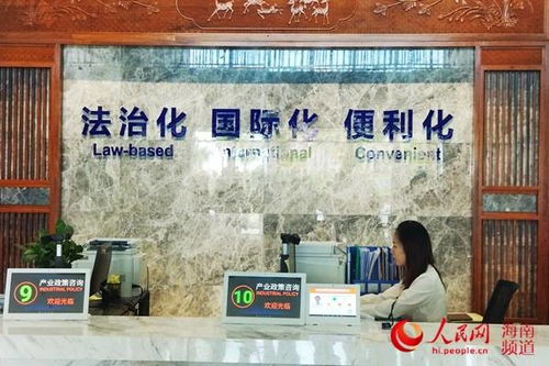 行走自贸区 海口 以高标准目标跑出自贸 加速度