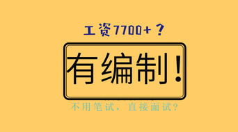 专科可报丨正式编制丨美兰区医疗招聘