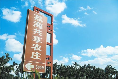 海口建设共享农庄全面推进乡村振兴海口文明网