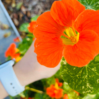 【海口产品/运营产品经理招聘】_1-3年_大专-店长直聘