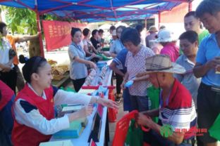 海口市就业扶贫专场招聘会走进大致坡镇