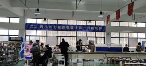 再招1500人 鸿星尔克河南工厂,喊你来 踩缝纫机