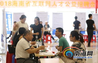 海南省互联网人才公益招聘会海口举行 381个岗位供选择
