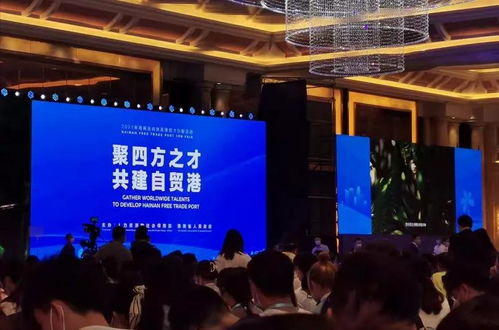 期待 平庸之辈 也能登上海南招才引智的舞台