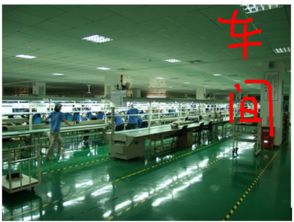 新闻中心 新生活网