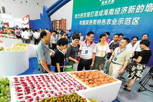 海南农垦 八八 战略项目招商大会闭幕 意向金额达2 香港商报