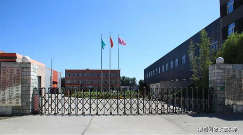 传承中药炮制,走现代化创新之路 诚信创建太洋树康药业