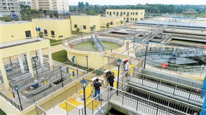 海口日报数字报