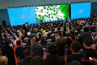 海口下实功出实招讲实效广纳贤才