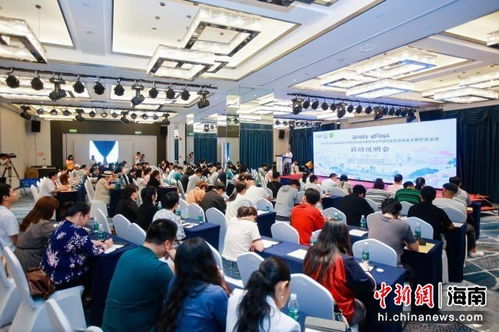 2024海南省第九届旅游商品大赛启动暨海口招聘动态