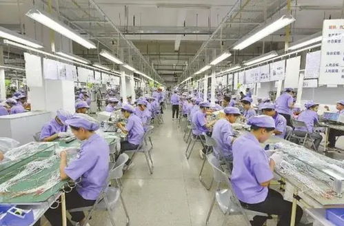 温州富婆征婚后续 宾利之约成空谈，海口招聘引热议