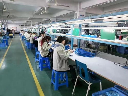 22年花350万请日本总经理，海口工厂险遭倒闭的深刻教训