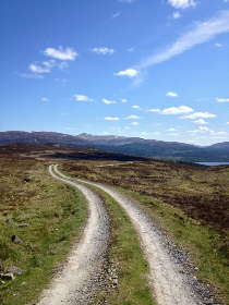 青海藏文报海口招聘启事