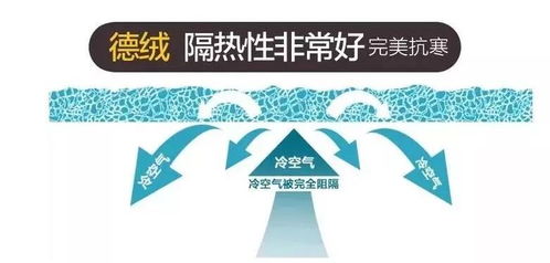 冷空气“促销” 满30降15，海口的招聘市场为何“稳中有升”？